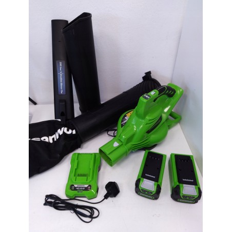 Greenworks 2x24 V Laubbläser/-sauger Greenworks GD24X2BVK4 Set mit Ladegerät + 2x 4-Ah-Akku (GR2405307UD)