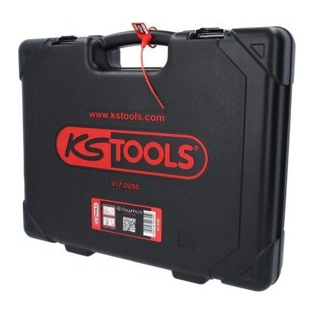 Beschaffung eines 255-teiligen Satzes Unterlegscheiben und Köpfe KS TOOLS 917.0255