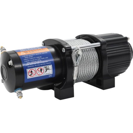 vidaXL Elektrische Winde, 12 V, 4500 lb, 2040 kg, mit Fernbedienung