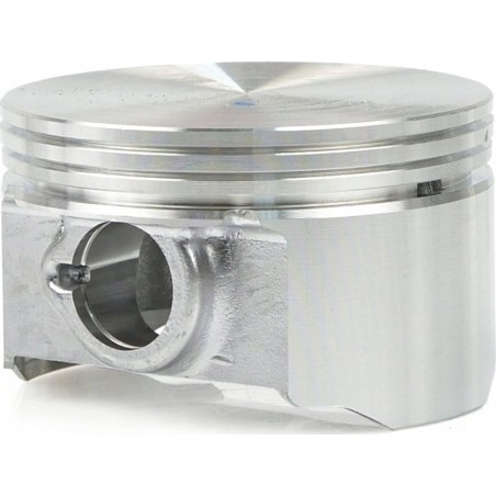 Tvardy Kolben für Aggregat T05011 (1)