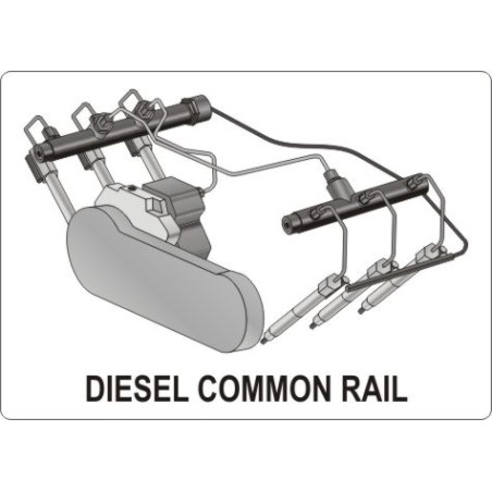 Yato Diagnoseset für Common-Rail-Einspritzdüsen, 31-teilig, YT-7306