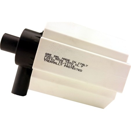 GSG Pumpe für Werkstatt-Hochdruckreiniger GRE SRL ITALY CL. F 230 V 100 W
