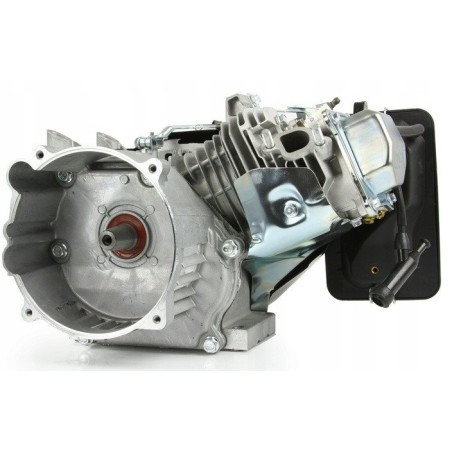 6,5-PS-Verbrennungsmotor für den Stromgenerator „Stożek German“