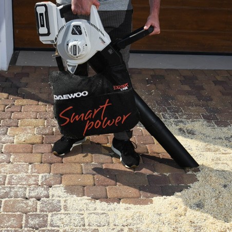 Daewoo Laubsauger DABL 6040LI (DABL6040LI)