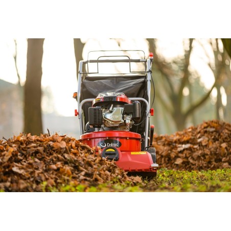 Cedrus CEDRUS LV58 S PROFESSIONELLER STAUBSAUGER + BENZINBETRIEBENER LAUBVERTICULATOR 4-in-1 GARTENBLASGERÄT AUF RÄDERN MIT ANTRIEB