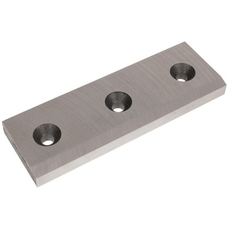 Cedrus-Häcksler Rb05 500220