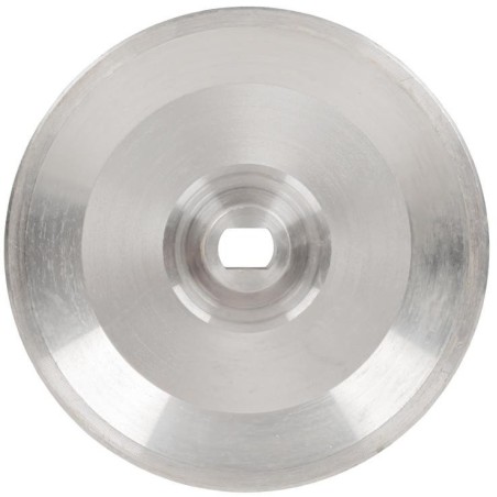 Riemenscheibe Cedrus Unkrautvernichter Sc01 500189