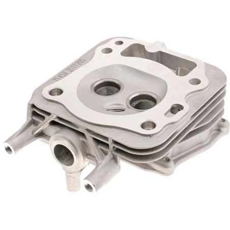 Zylinderkopf für Cedrus Y145V 481358