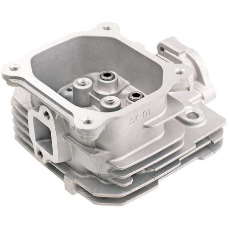 Kopf Cedrus Y196V 480499