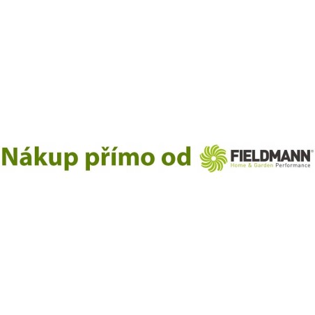 Akku-Bohrschrauber Fieldmann FDV 10202-A, Li-Ion 12 V/1300 mAh